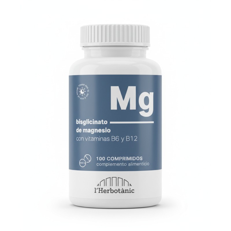 Mockup_MAGNESIO