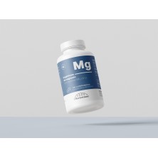 Mockup_MAGNEISO_03