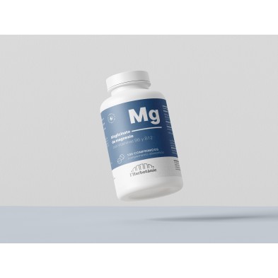 Mockup_MAGNEISO_03