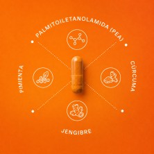 Peamina 60 capsulas para reducir el dolor y la inflamacion (L'herbotanic)