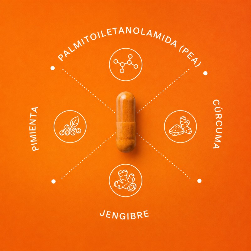 Peamina 60 capsulas para reducir el dolor y la inflamacion (L'herbotanic)