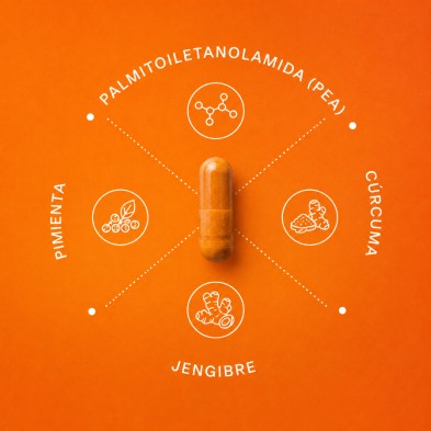 Peamina 60 capsulas para reducir el dolor y la inflamacion (L'herbotanic)