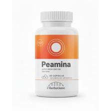 Mockup_PEAMINA