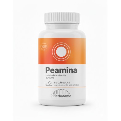 Mockup_PEAMINA