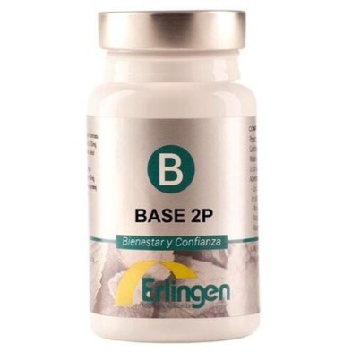 BASE 2P   60 comp.  ERLINGEN