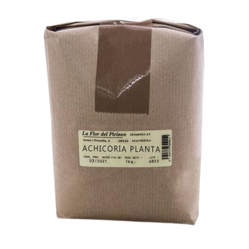 ACHICORIA PLANTA 1 Kgr. LA FLOR DEL PIRINEO