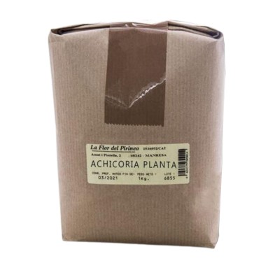 ACHICORIA PLANTA 1 Kgr. LA FLOR DEL PIRINEO