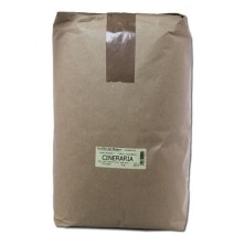 CINERARIA 1 Kgr. LA FLOR DEL PIRINEO