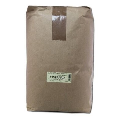 CINERARIA 1 Kgr. LA FLOR DEL PIRINEO