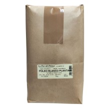 POLEO BLANCO PLANTA 1 Kgr. LA FLOR DEL PIRINEO