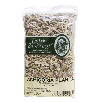 ACHICORIA PLANTA 50 gr. LA FLOR DEL PIRINEO