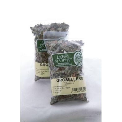 GROSELLERO NEGRO 40 gr. LA FLOR DEL PIRINEO