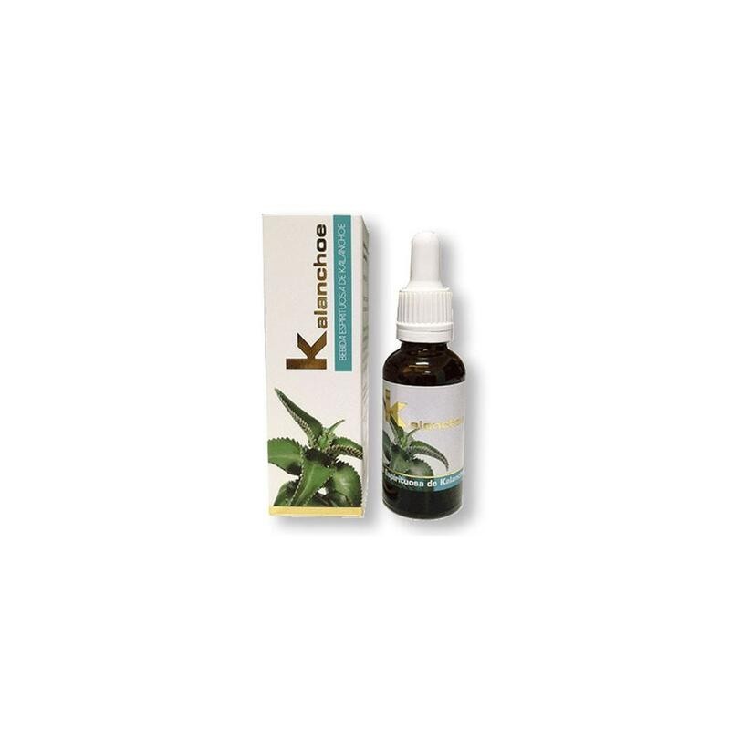 KALANCHOE 30 ml. LIMYE