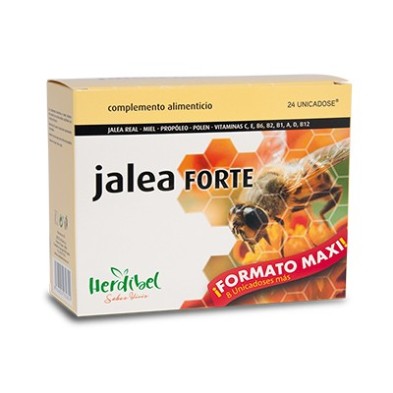 JALEA FORTE  24 uni. HERDIBEL