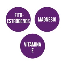 ISOFLAVONAS MAGNESIO+VITAMINA E 30 caps. ANA Mª LAJUSTICIA