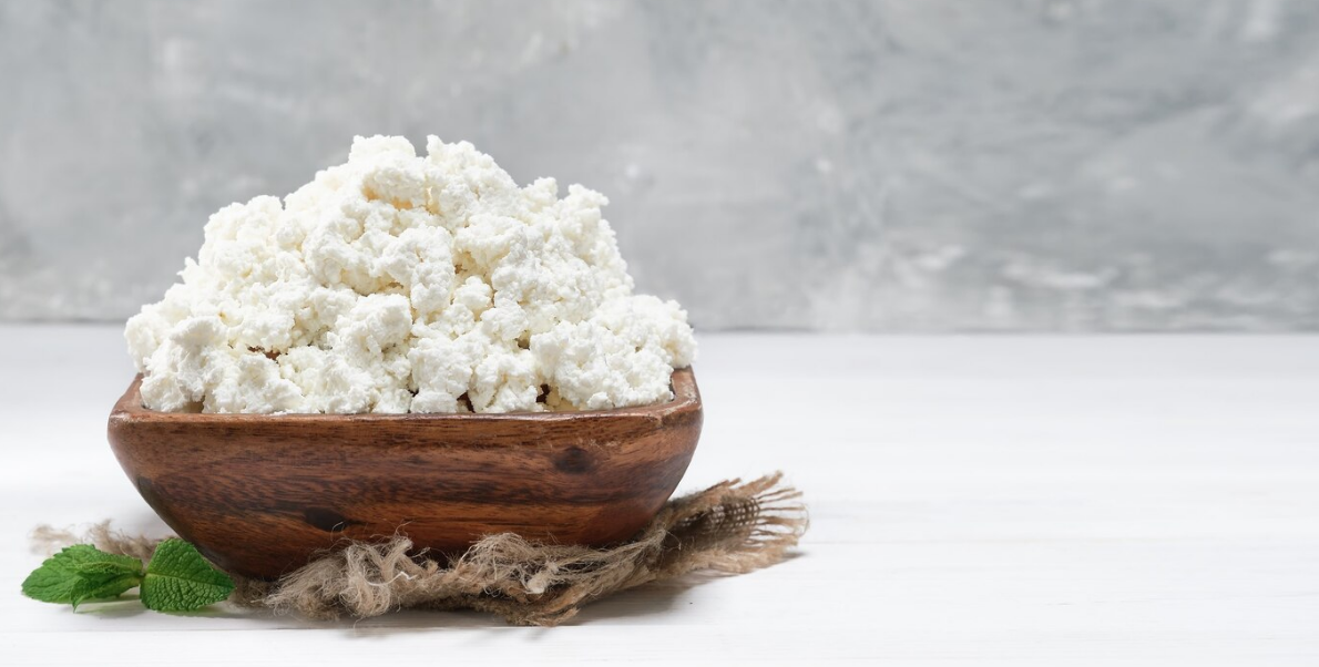 Alimentos fermentados