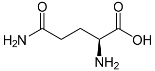 Glutamina