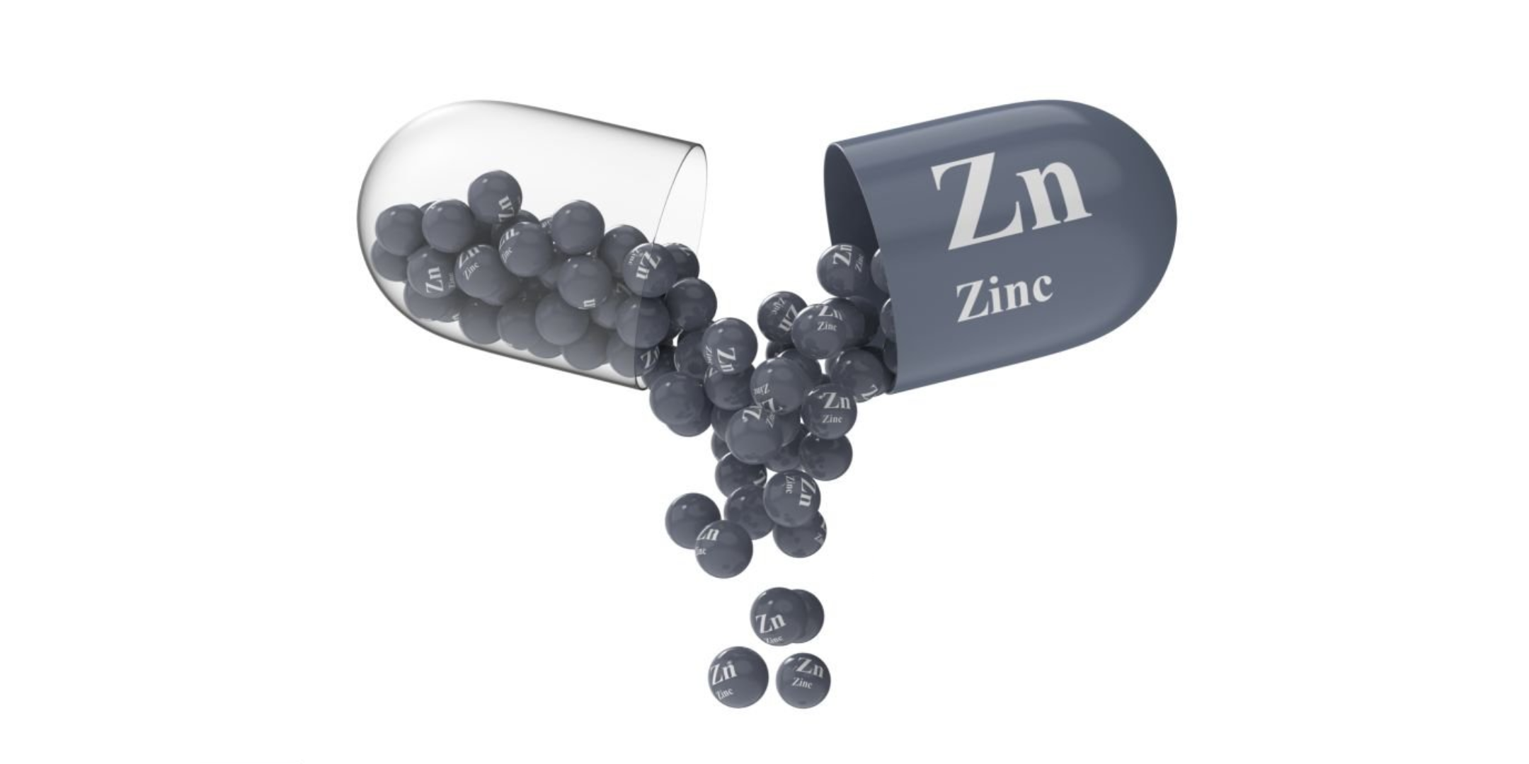Monográfico de Zinc: Generalidades y función inmunológica